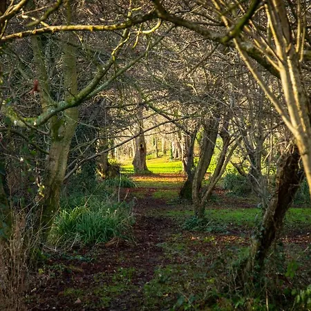 Hazelwood Short Stay Accommodation Apartment Dublin